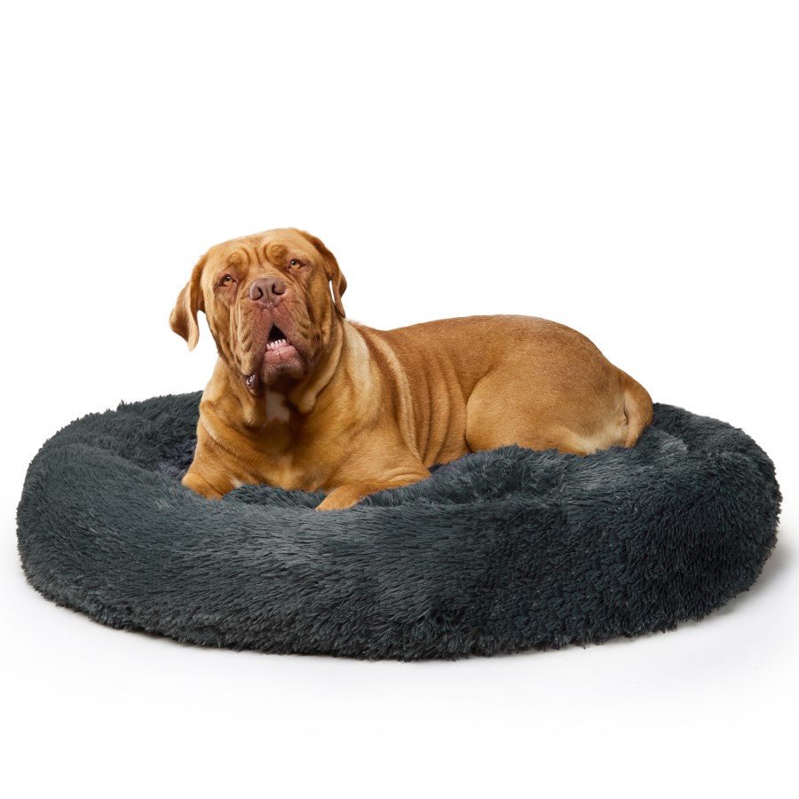 "Nap Time" Calming Dog Bed - XXL - Grey