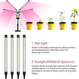 LED Grow Light | 3-Head | Adjustable Full Spectrum | Desktop Plant Lamp | USB Powered | Black