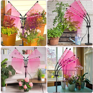 LED Grow Light | 3-Head | Adjustable Full Spectrum | Desktop Plant Lamp | USB Powered | Black