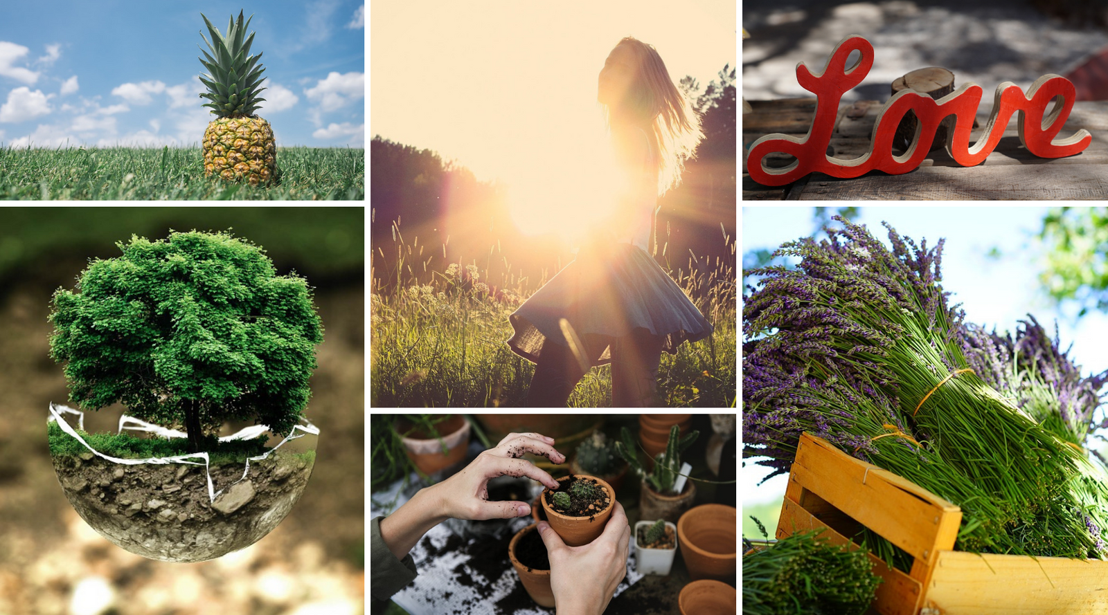 The Hippie House - Australia's Hippie Shop